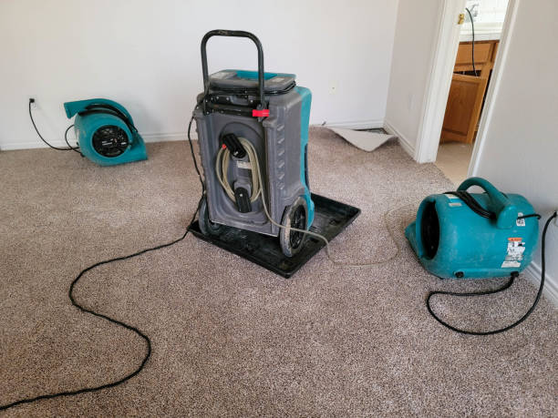 Best Water damage restoration near me  in Devola, OH