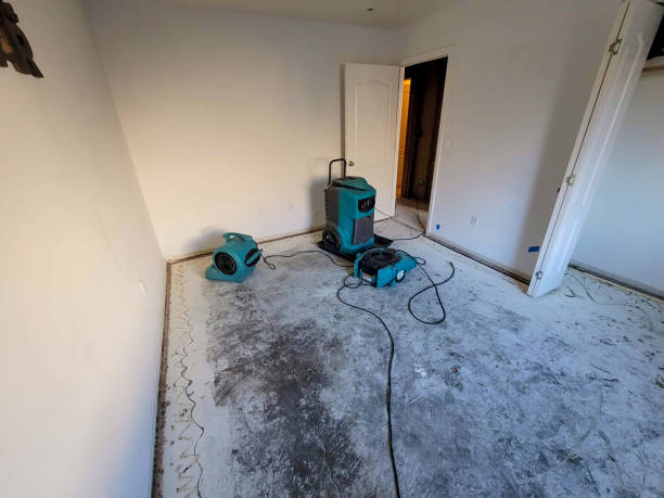 Best Sewage cleanup and water damage restoration  in Devola, OH
