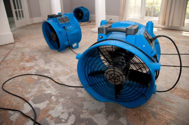 Best Basement water damage restoration  in Devola, OH