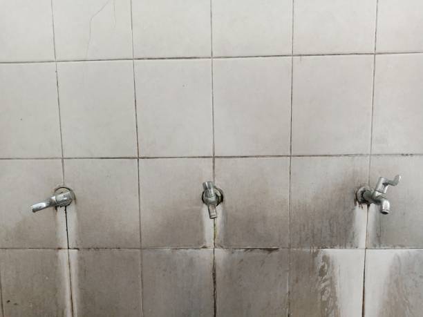 Best Water damage contractors near me  in Devola, OH