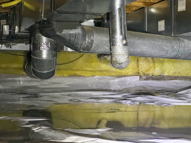 Best Flood restoration services  in Devola, OH