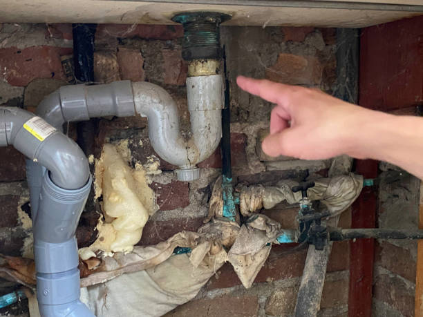 Best Water damage restoration near me  in Devola, OH
