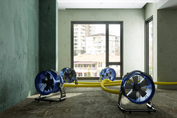 Best Local water damage restoration  in Devola, OH