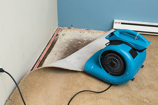 Best Residential water damage restoration  in Devola, OH